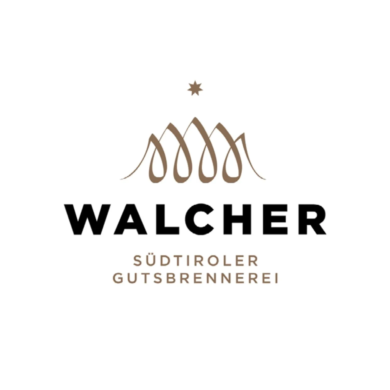 Walcher Williams Christ Edelbrand 0,7 l Birne