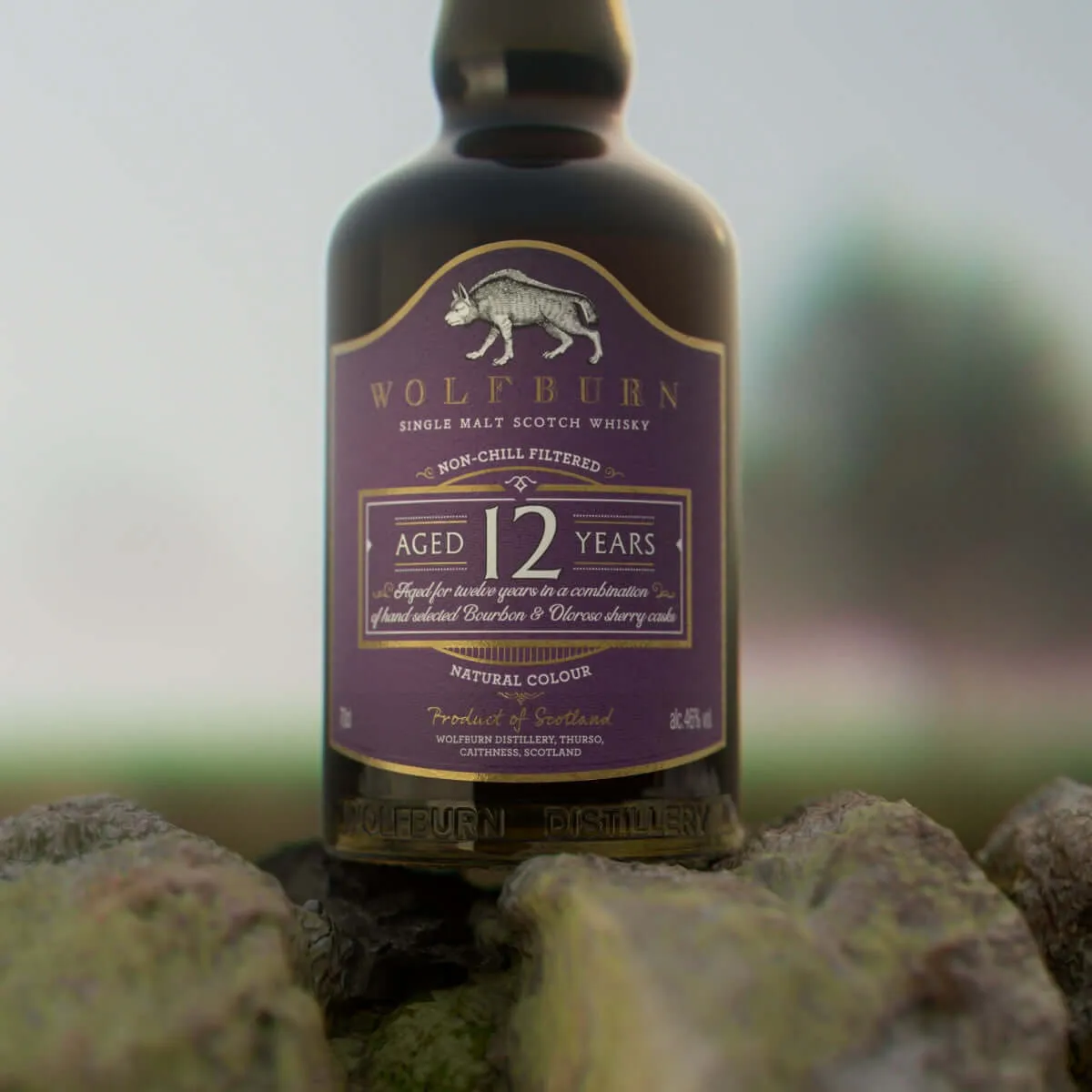 Wolfburn 12 Jahre Single Malt Whisky 0,7 l Sherry