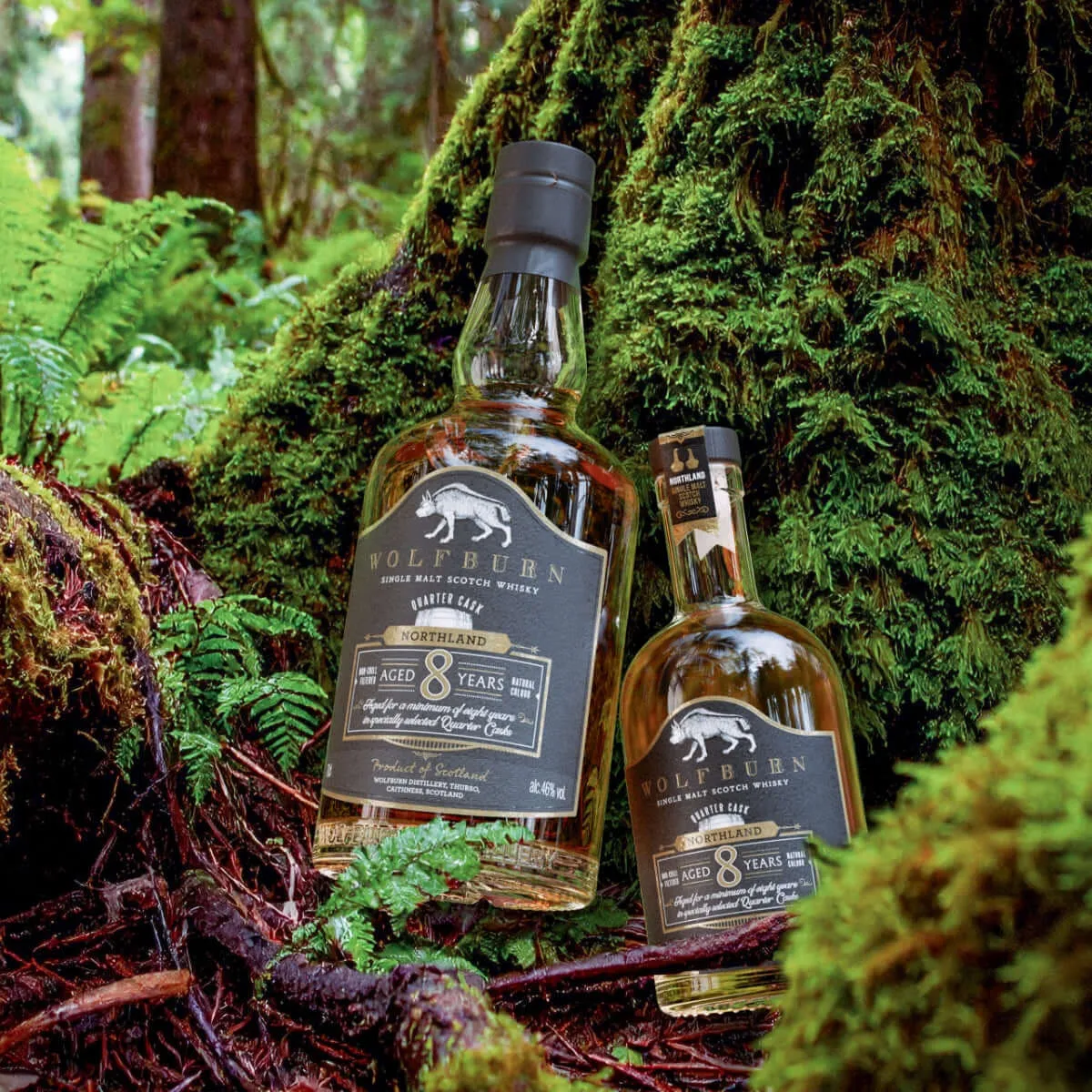 Wolfburn Northland 8 Jahre Single Malt Whisky 0,7l Quarter Cask